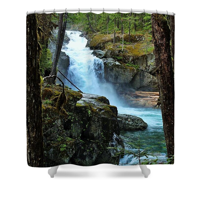 Silver Falls Shower Curtain featuring the photograph Framing Silver Falls by Lkb Art And Photography