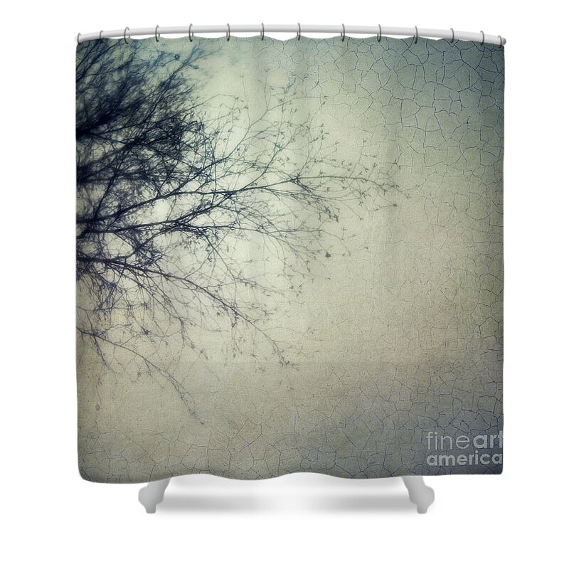 Birch Shower Curtain featuring the photograph Frangible by Priska Wettstein