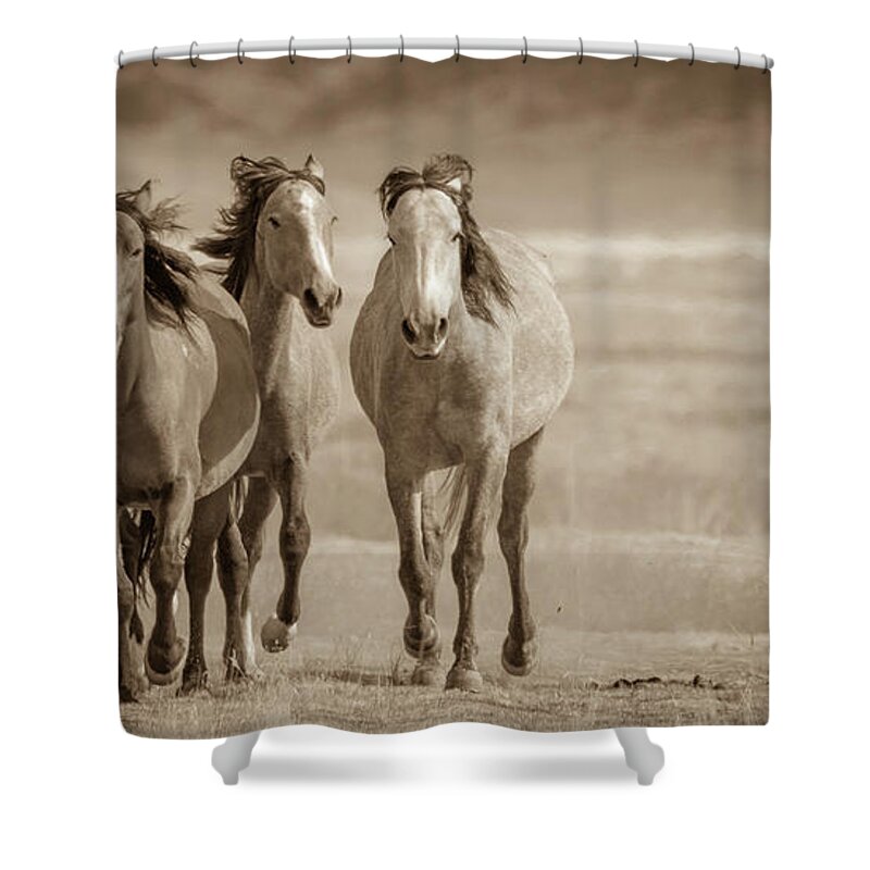 Wild Horses Shower Curtain featuring the photograph Free family 2 by Mary Hone
