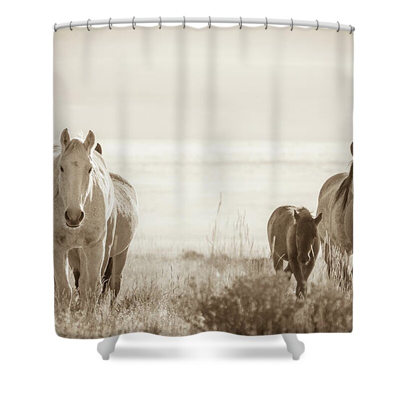 Wild Horses Shower Curtain featuring the photograph Free family 3 by Mary Hone