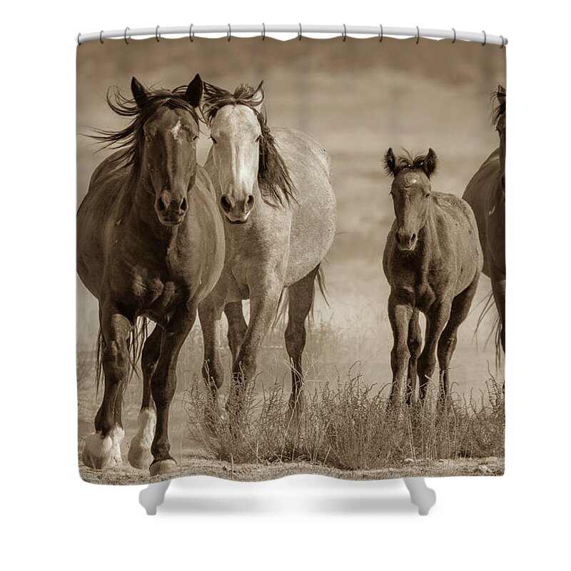 Wild Horses Shower Curtain featuring the photograph Free family by Mary Hone