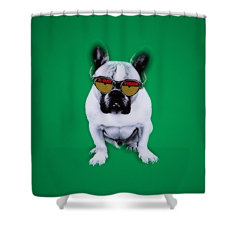 Pets Shower Curtain featuring the photograph French Bulldog With X-ray Vision Glasses by David Waldorf