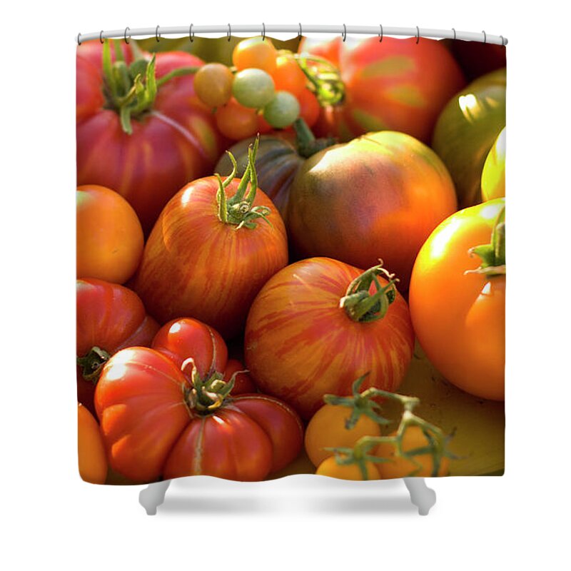 Season Shower Curtain featuring the photograph Fresh Heirloom Tomatoes Homegrown by Funwithfood