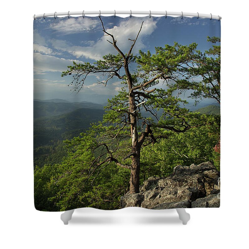 Sunrise Shower Curtain featuring the photograph Fresh Mountain Morning by Mike Eingle