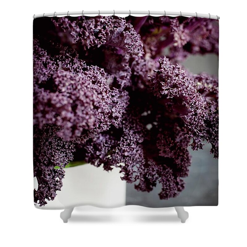 Ip_11170176 Shower Curtain featuring the photograph Fresh Purple Kale Shot Against Slate by Harley, Victoria