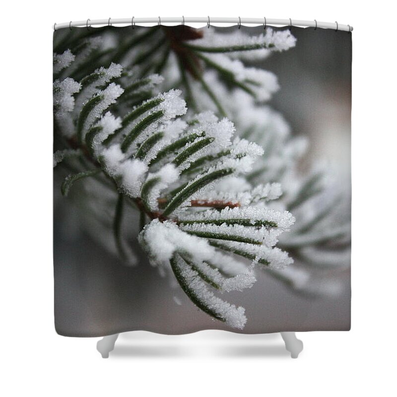 Beautiful Shower Curtain featuring the photograph Frost by Jean Evans