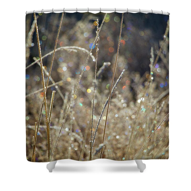 Frost Shower Curtain featuring the photograph Frosty Meadow Grass 2 by Randy Robbins