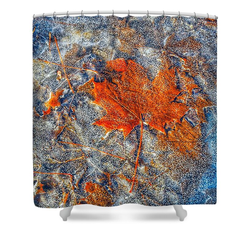 Frozen Shower Curtain featuring the photograph Frozen leaf in a puddle by Monika Salvan