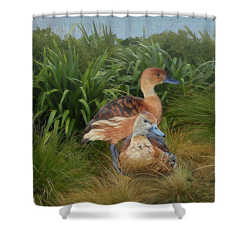 Duck Shower Curtain featuring the digital art Fulvous Whistling Ducks by M Spadecaller