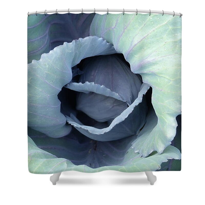 Blues And Purples Shower Curtain featuring the photograph Garden Beauty by Rosanne Licciardi