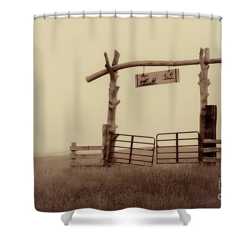 Gate Shower Curtain featuring the photograph Gate In The Wilderness by Harriet Feagin
