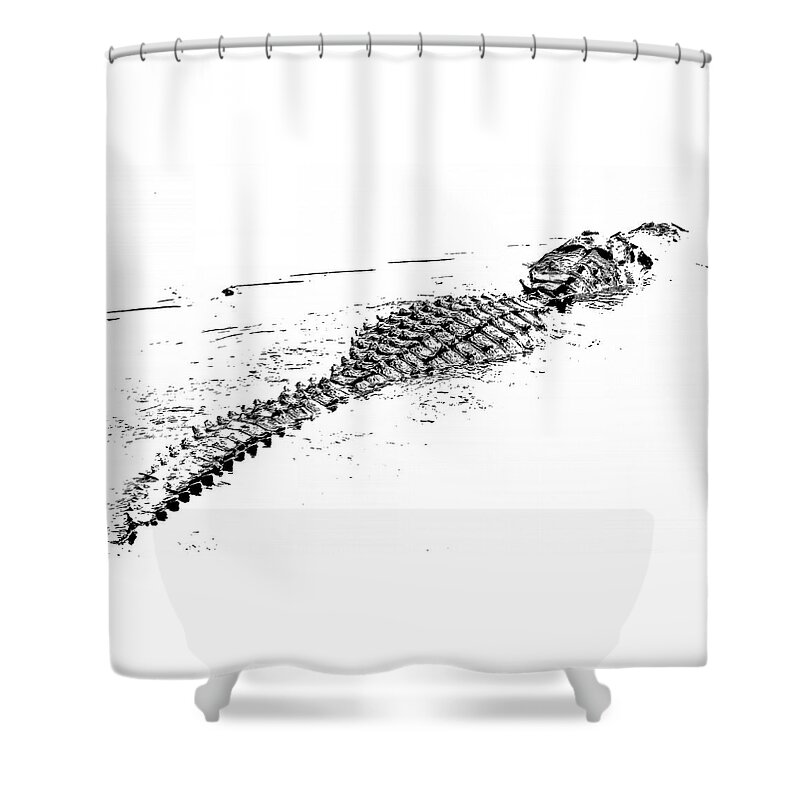 Alligator Shower Curtain featuring the photograph Gator Crossing by Michael Allard