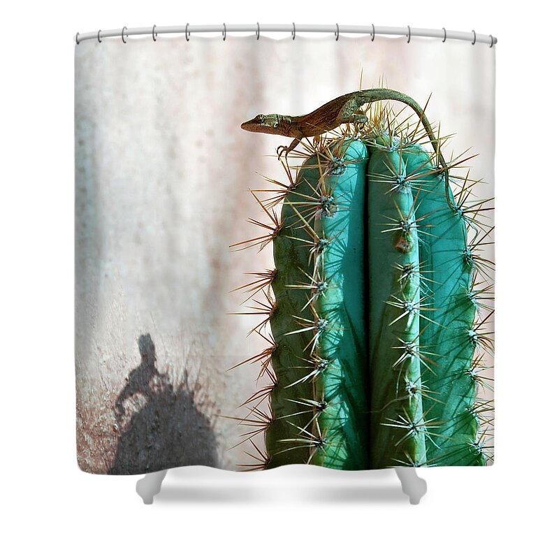 Shadow Shower Curtain featuring the photograph Gecko Lizard by Ute Hagen Photography