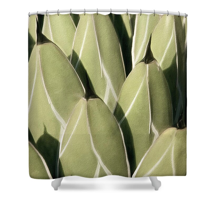 Agave Victoriae-reginae Shower Curtain featuring the photograph Geometric Growth III by Leda Robertson