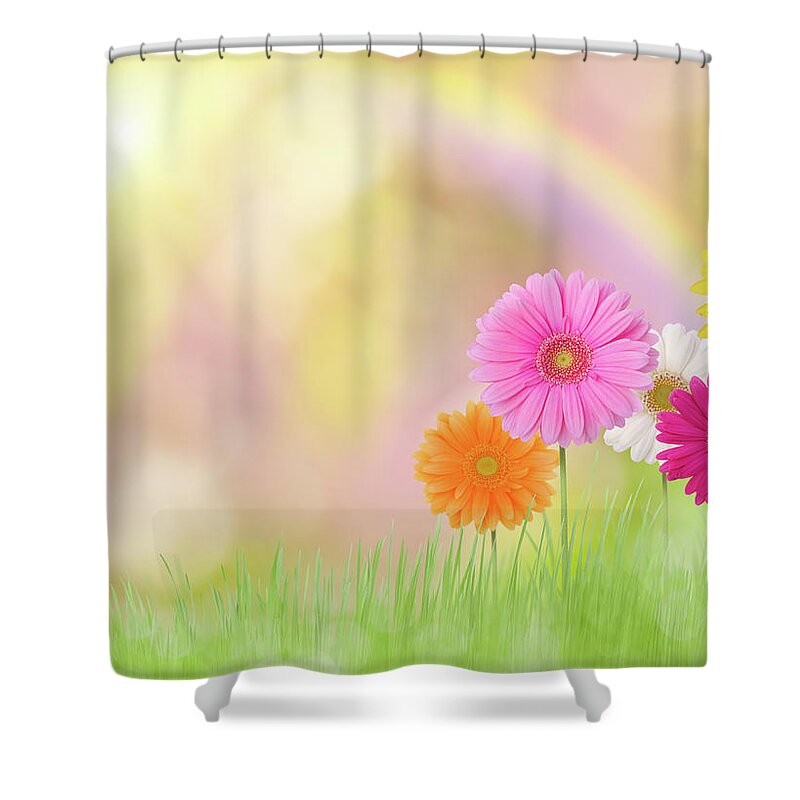 Grass Shower Curtain featuring the photograph Gerbera Daisies In A Field With Rainbow by Liliboas