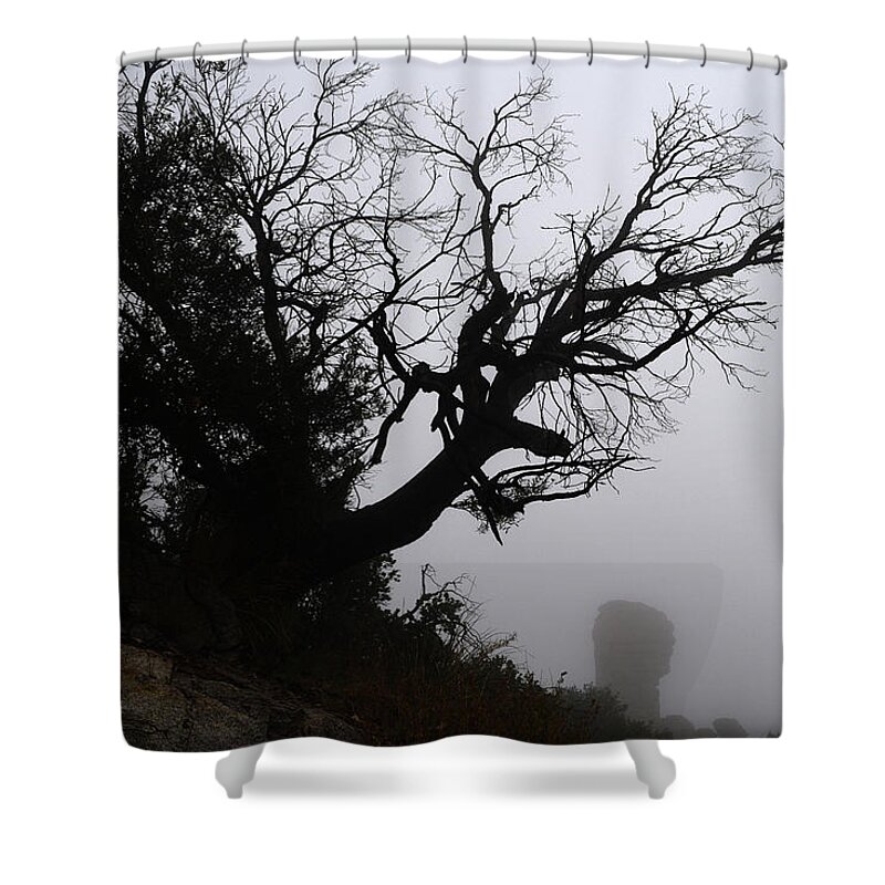 Tree Shower Curtain featuring the photograph Ghostly Tree by Chance Kafka
