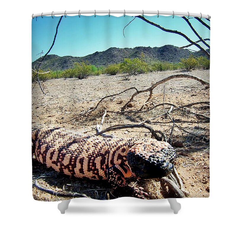 Animals Shower Curtain featuring the photograph Gila Monster in the Arizona Sonoran Desert by Judy Kennedy