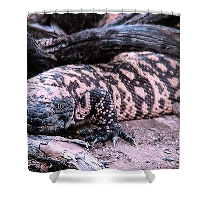 Animals Shower Curtain featuring the photograph Gila Monster Under Creosote Bush by Judy Kennedy