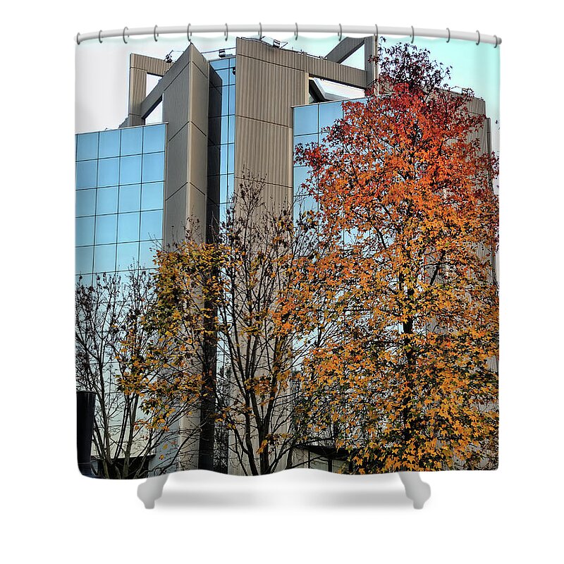 Autumn Shower Curtain featuring the photograph Glass and autumn trees 1 by Guido Strambio