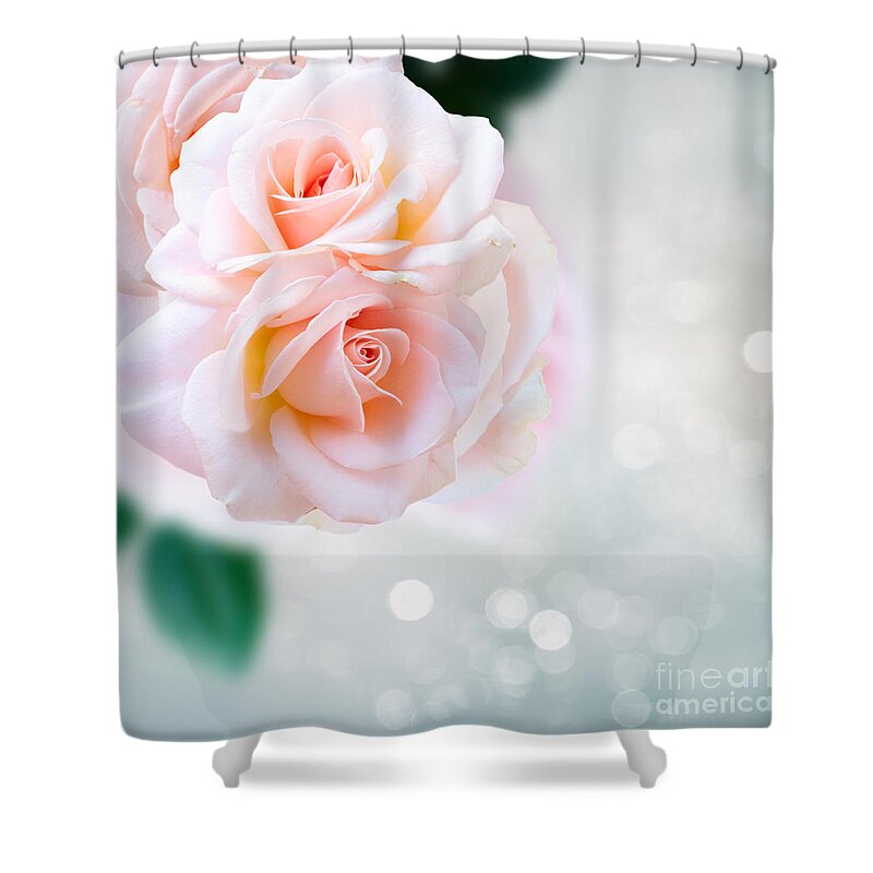 Rose Shower Curtain featuring the photograph Glitter of Roses by Anastasy Yarmolovich