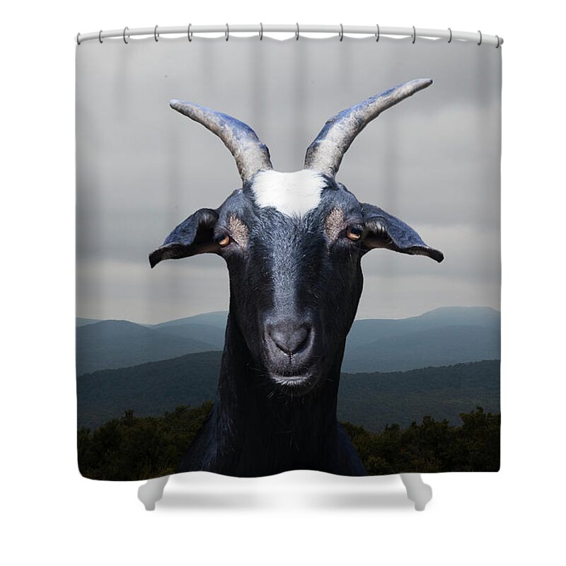 Horned Shower Curtain featuring the photograph Goat In Front Of Mountains by Thomas Jackson
