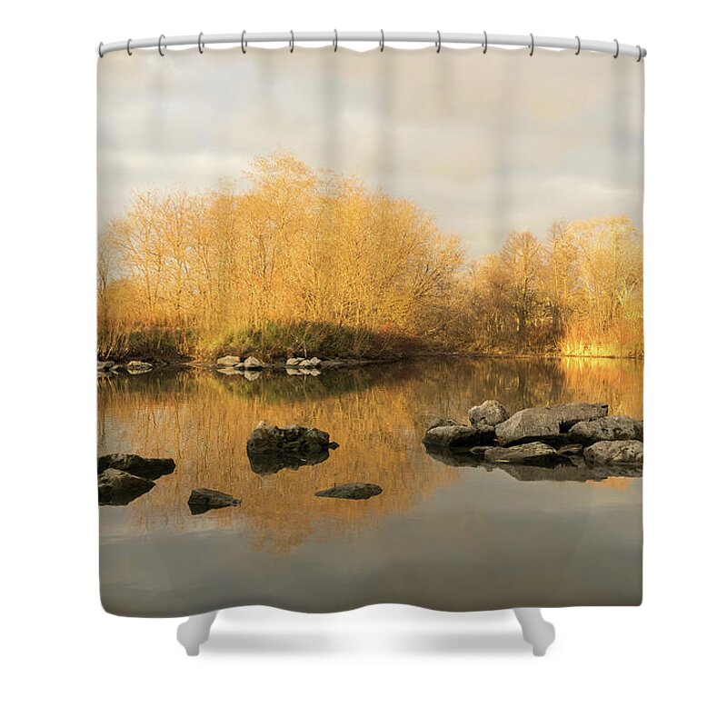 Georgia Mizuleva Shower Curtain featuring the photograph Gold and Silver - Late Fall Reflections at the Pond Take Two by Georgia Mizuleva
