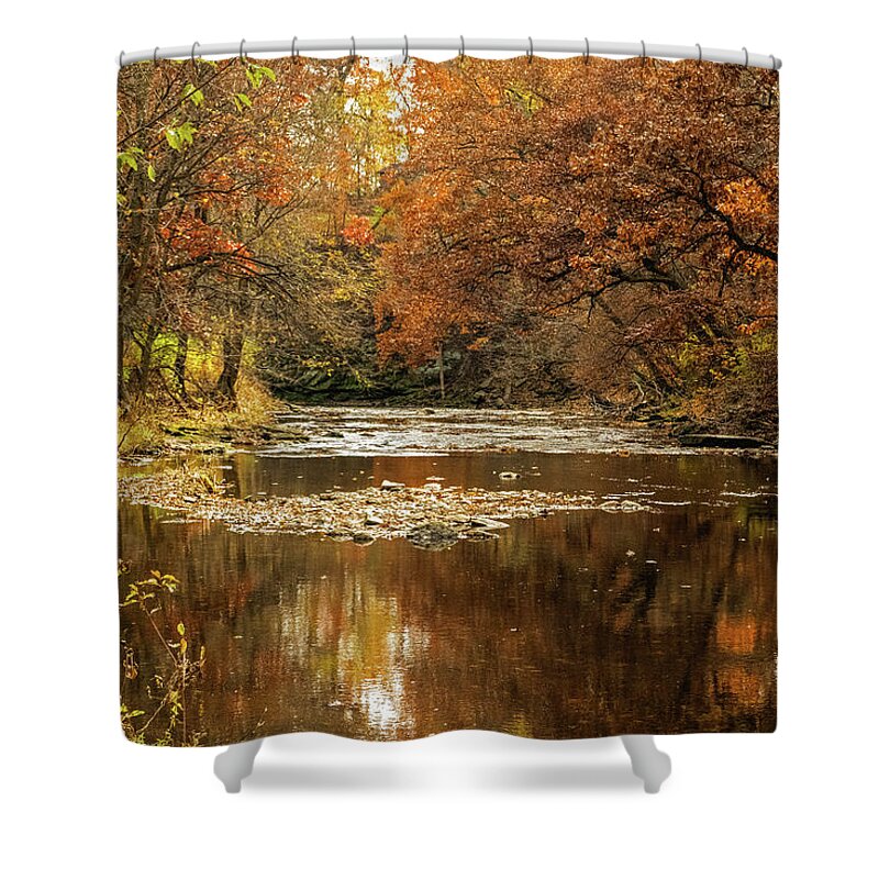 Golden Colors Shower Curtain featuring the photograph Golde Colors of Fall by Sandra J's