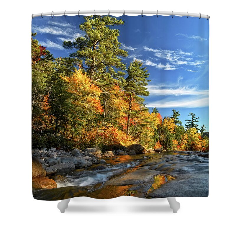 Fall Foliage Nh Shower Curtain featuring the photograph Golden Autumn Light NH by Michael Hubley