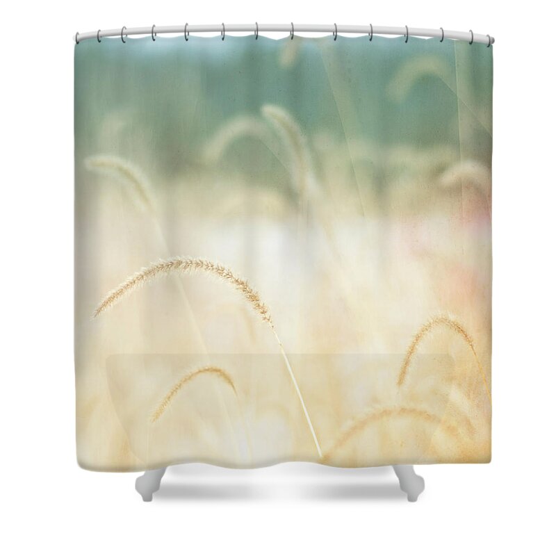Grass Shower Curtain featuring the photograph Golden Grasses by Trina Dopp Photography