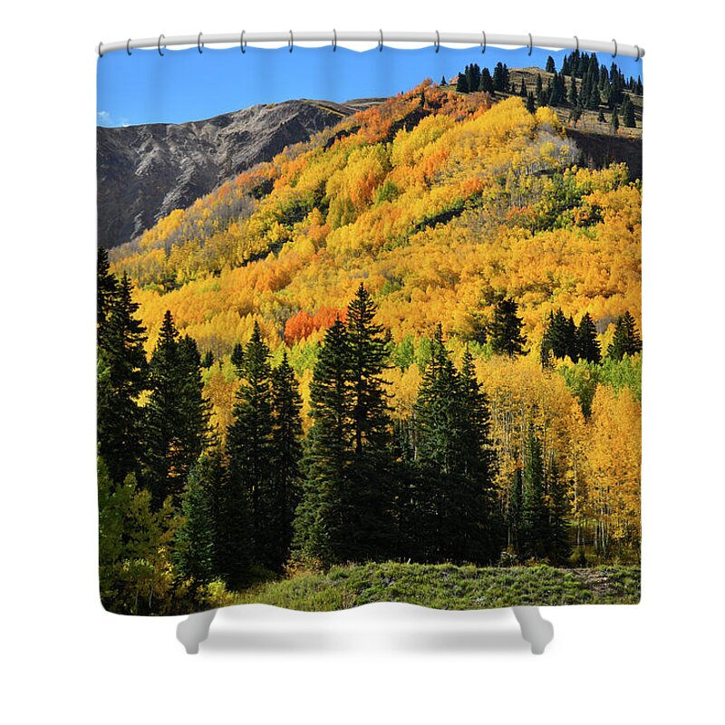 Colorado Shower Curtain featuring the photograph Golden Hillsides Along Million Dollar Highway by Ray Mathis