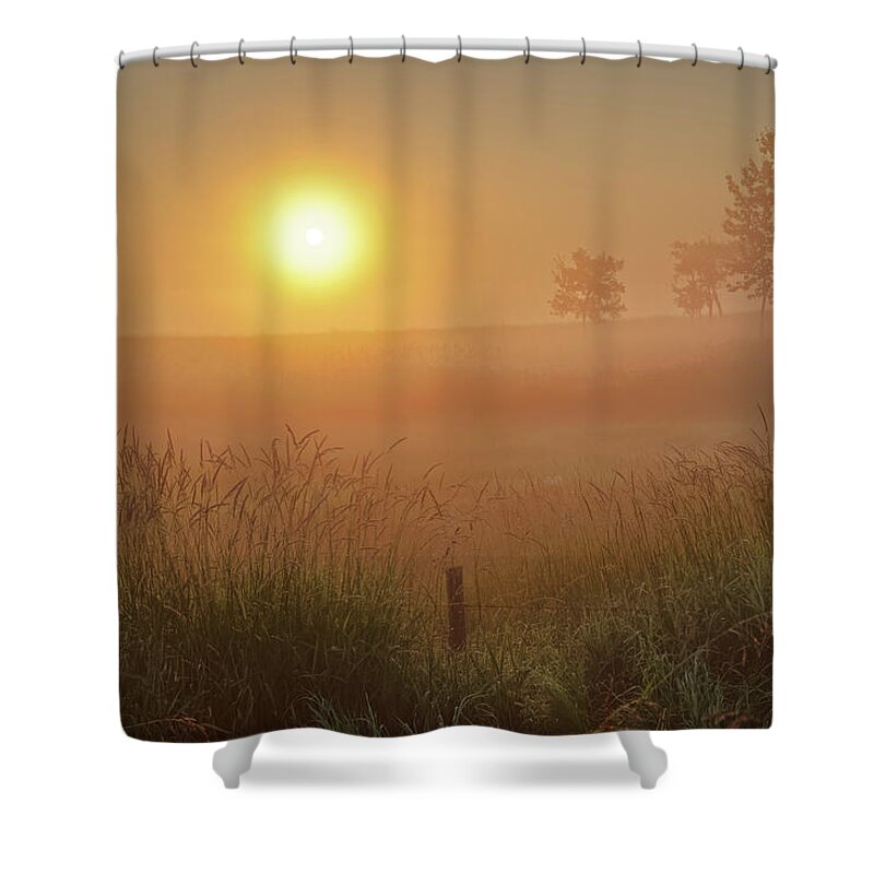 Summer Shower Curtain featuring the photograph Golden Morning by Dan Jurak