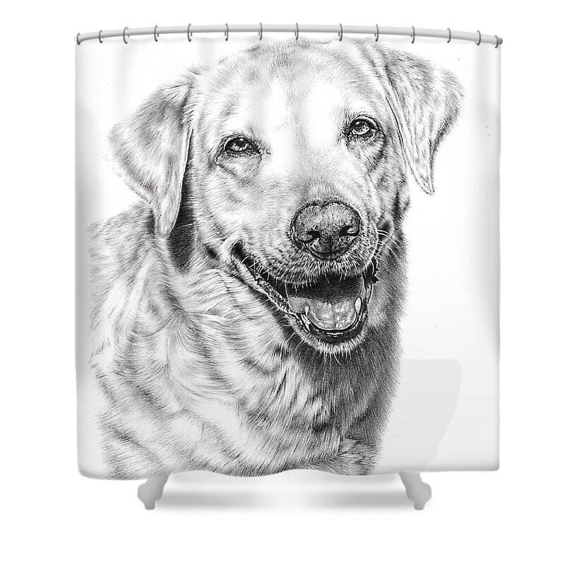 Dog Shower Curtain featuring the drawing Golden Retriever by Casey 'Remrov' Vormer