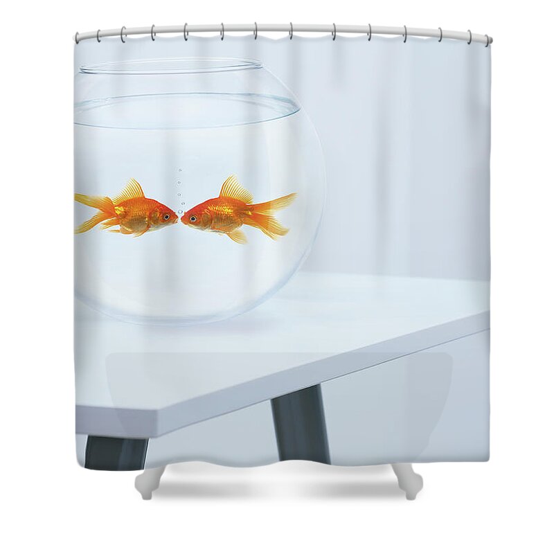 Pets Shower Curtain featuring the photograph Goldfish Kissing In Fishbowl by Adam Gault