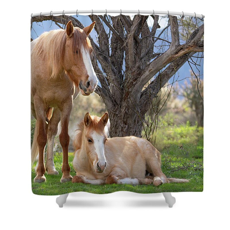 Wild Horses Shower Curtain featuring the photograph Good mama by Mary Hone
