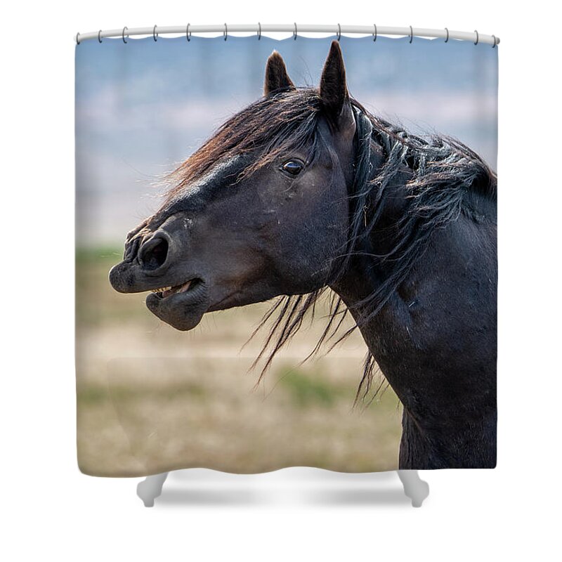 Horse Shower Curtain featuring the photograph Good Morning Sunshine by Jeanette Mahoney