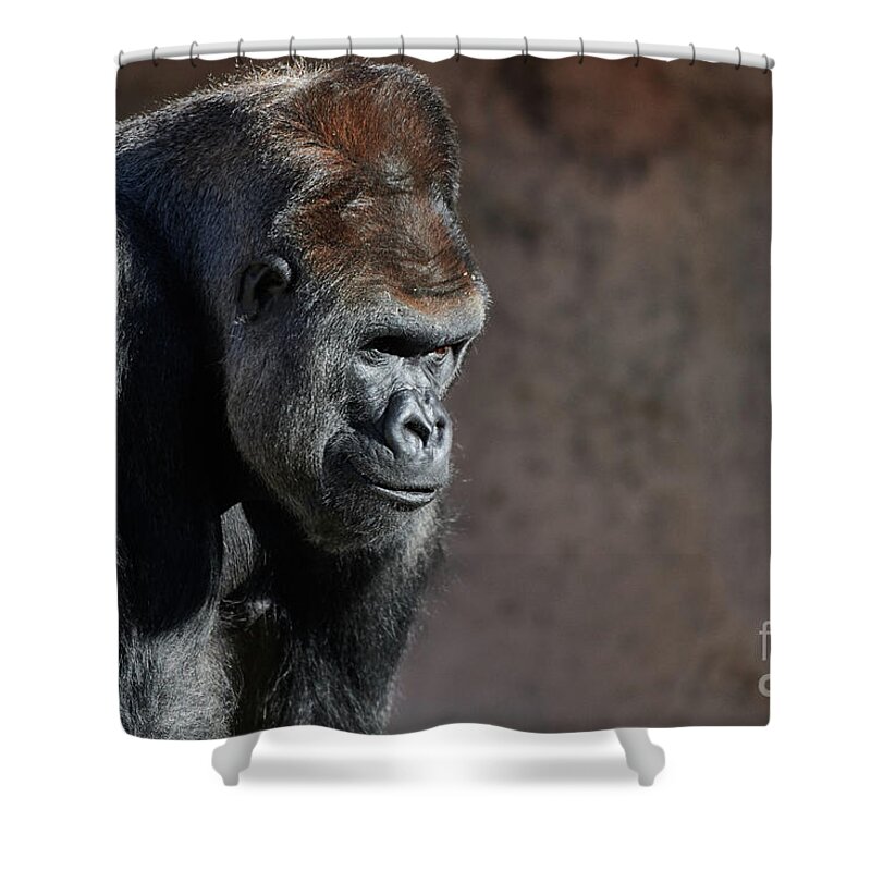 Gorillas Shower Curtain featuring the photograph Gorilla by Robert WK Clark