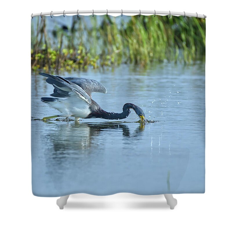 Heron Shower Curtain featuring the photograph Gotcha by Ty Husak
