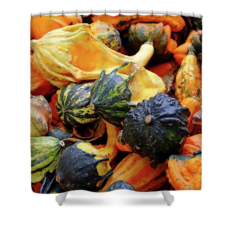 Gourds Shower Curtain featuring the photograph Gourds by Debbie Oppermann