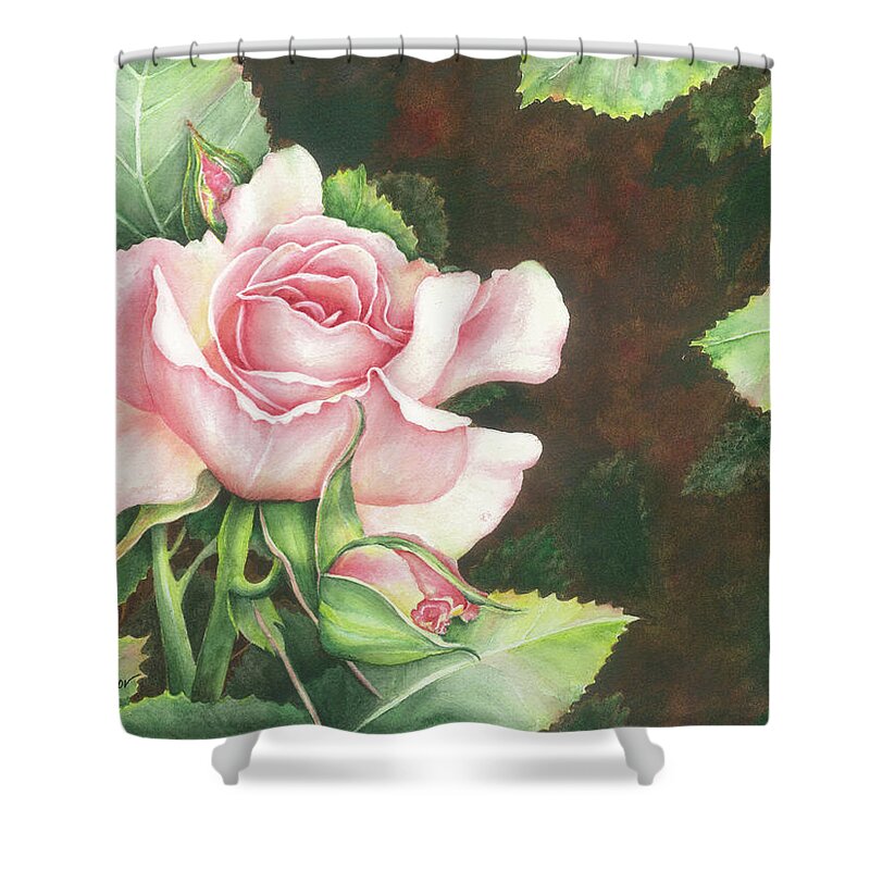 Rose Shower Curtain featuring the painting Grace by Lori Taylor