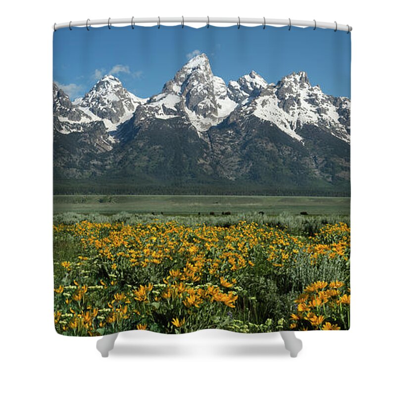 Landscapes Shower Curtain featuring the photograph Grand Teton Summer by Sandra Bronstein