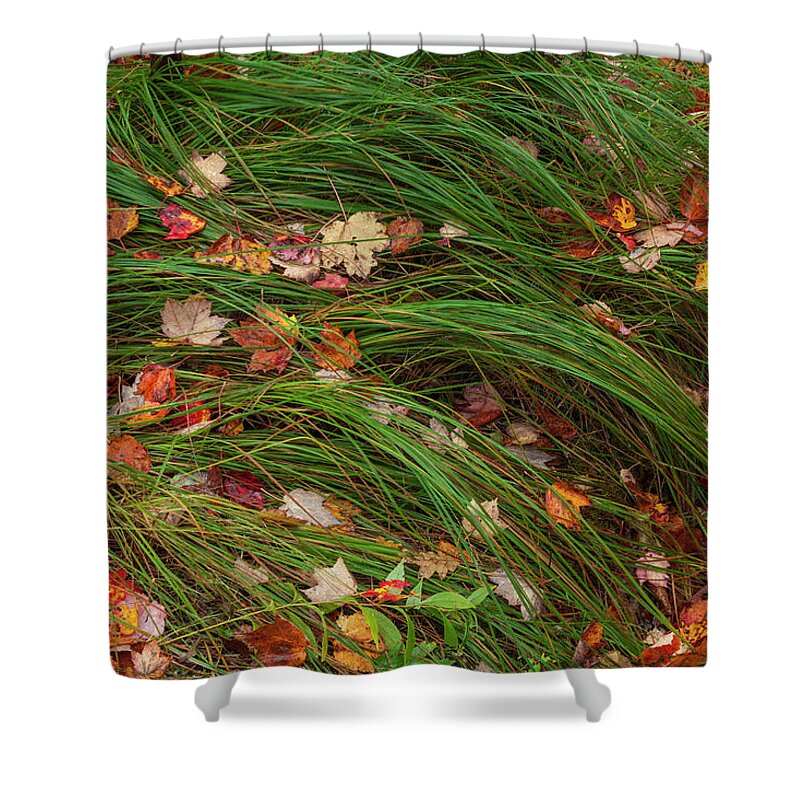 Orange Color Shower Curtain featuring the photograph Grasses And Autumn Leaves, Sieur De by Jerry Whaley
