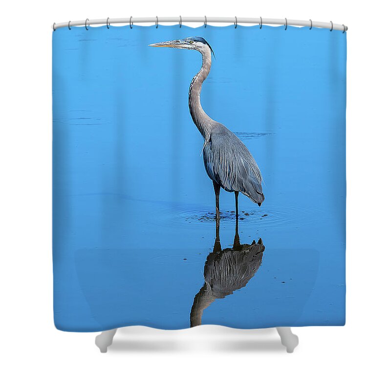 Nature Shower Curtain featuring the photograph Great Blue Heron DMSB0166 by Gerry Gantt