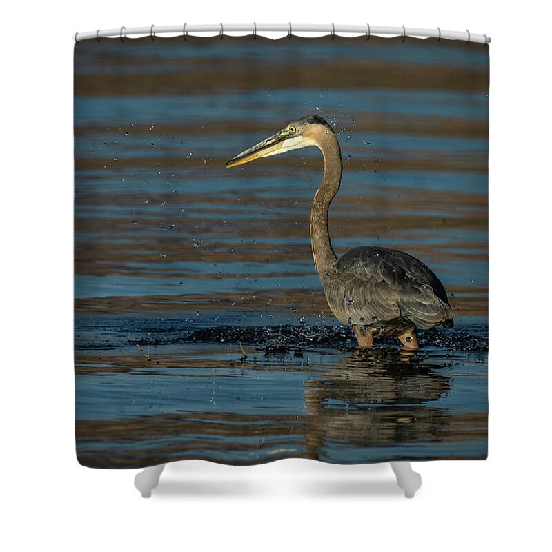Great Blue Heron Shower Curtain featuring the photograph Great Blue Heron by Rick Mosher