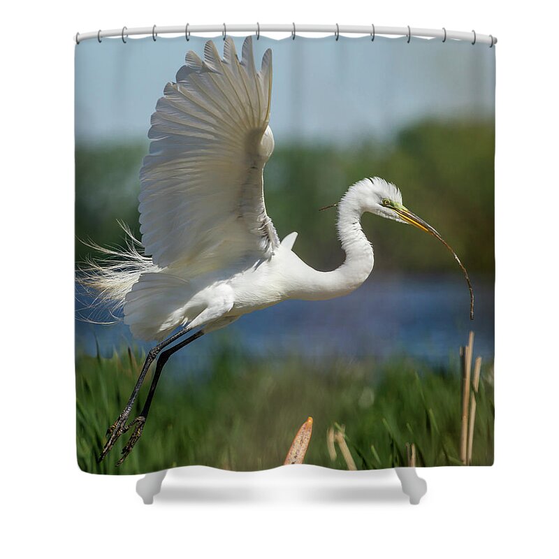 Great Egret Shower Curtain featuring the photograph Great Egret 2014-1 by Thomas Young