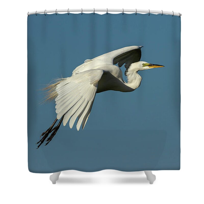 Great Egret Shower Curtain featuring the photograph Great Egret 2014-8 by Thomas Young