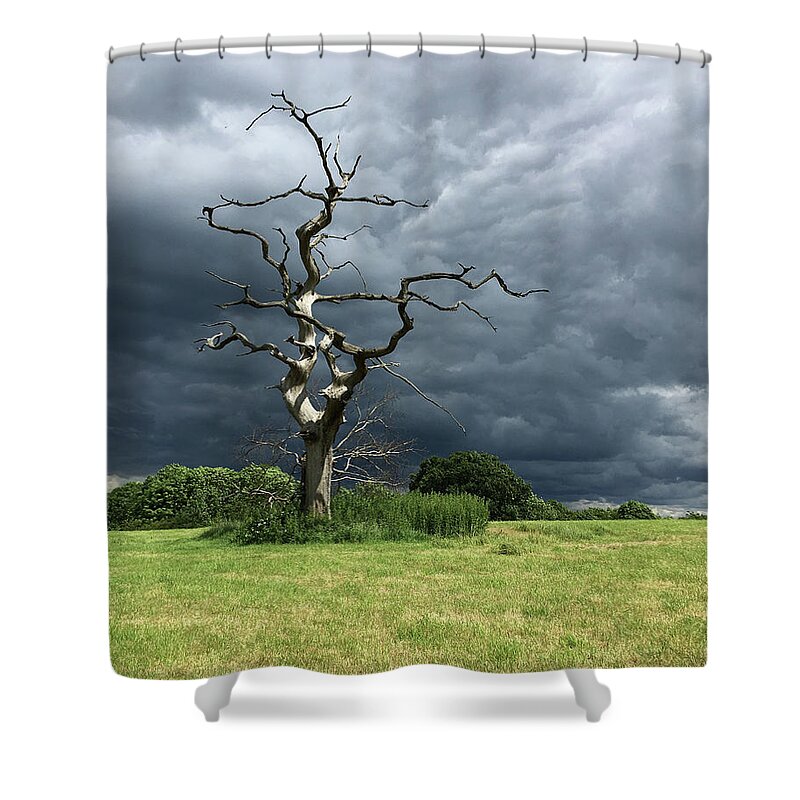 Trees Shower Curtain featuring the photograph Great Gregories - Epping Forest by Rona Black