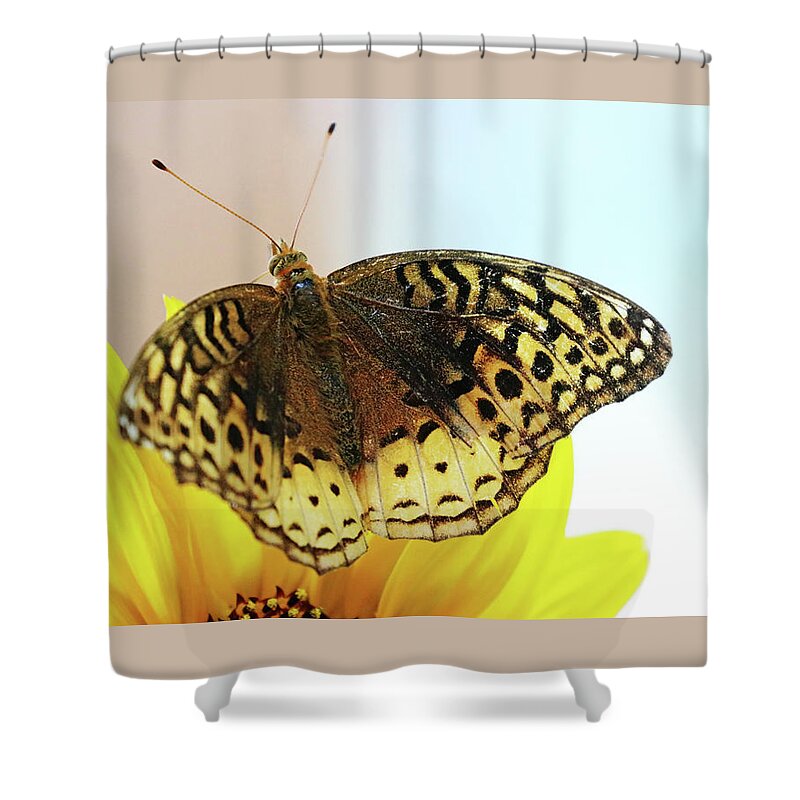 Butterfly Shower Curtain featuring the photograph Great Spangled Fritillary Butterfly by Debbie Oppermann
