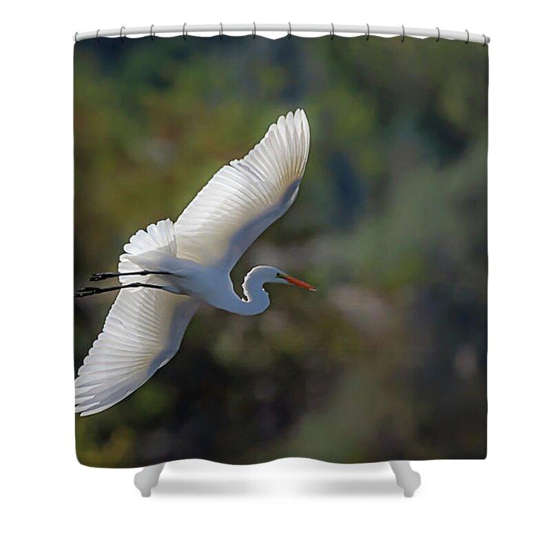 Great White Egret Shower Curtain featuring the photograph Great White Egret 2 by Rick Mosher