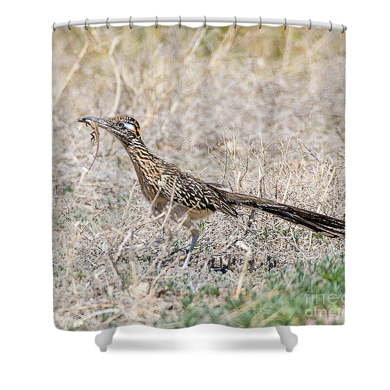 Bird Shower Curtain featuring the photograph Greater Roadrunner with Lizard by Dennis Hammer