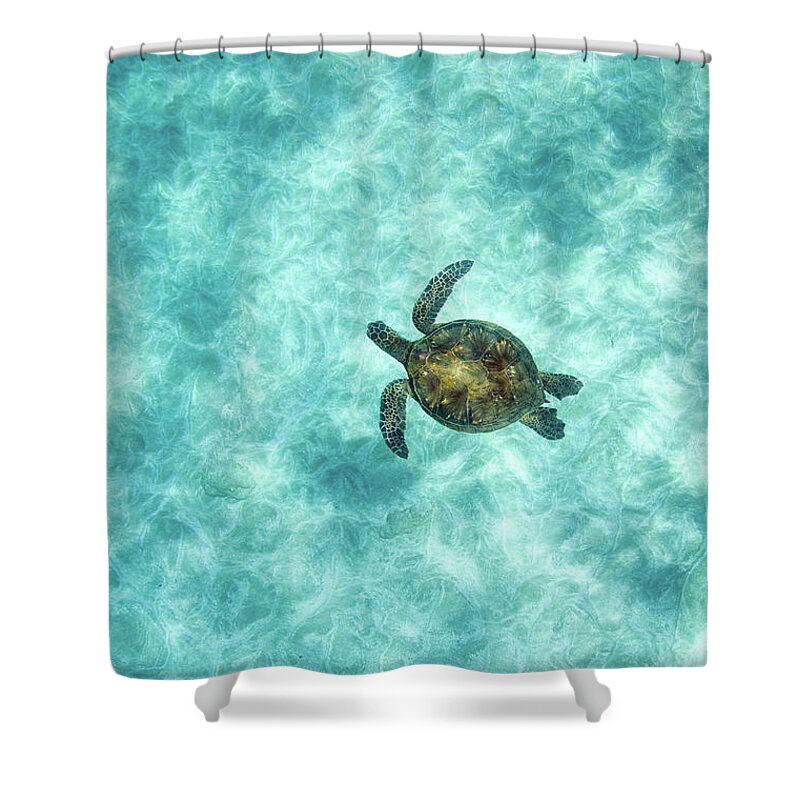 Green Sea Turtle In Under Water Shower Curtain by M.m. Sweet 
